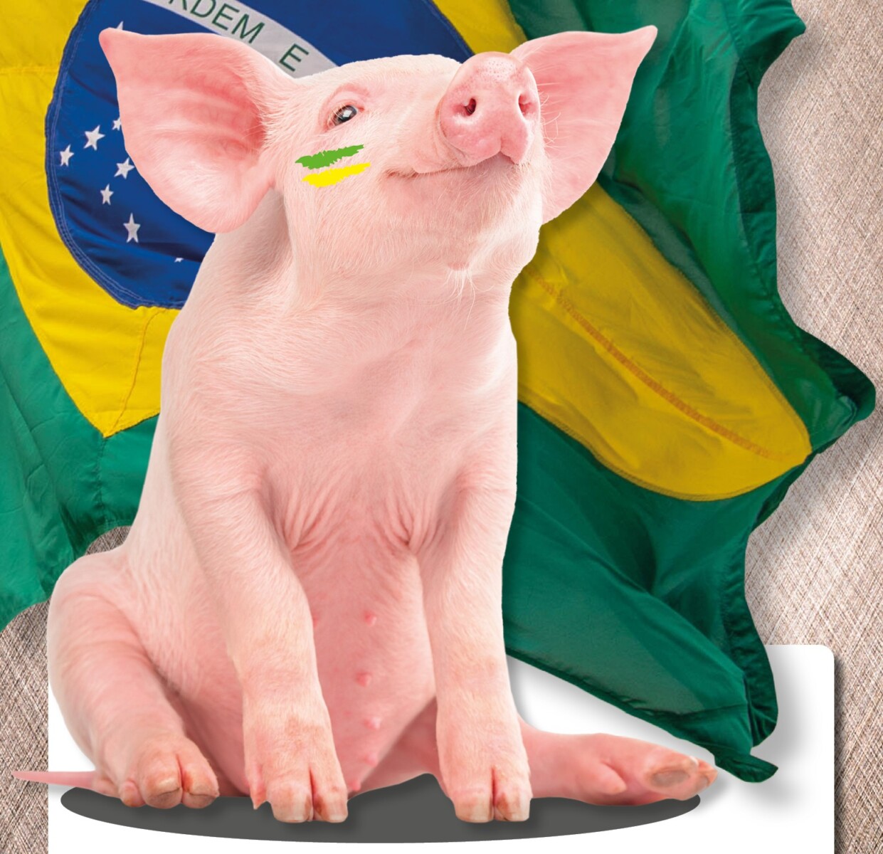 Suinocultura